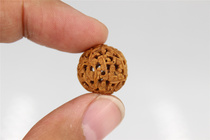 Old core carvings from the period of earning foreign exchange wild small peach cores hand-made hollow carvings 18 Arhat figures single price