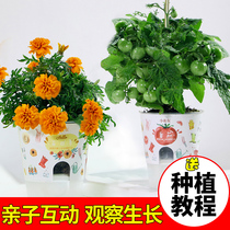 Kindergarten plant observation growth and germination potted Primary School students diy planting flower farmers self-planting mini creative children