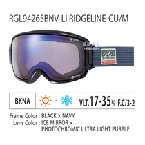 Japan SWANS 2019 RIDGELINE Dimming HD Breathable Ski Goggles Interchangeable lenses Asia RGL