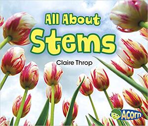 【预售】All about Stems