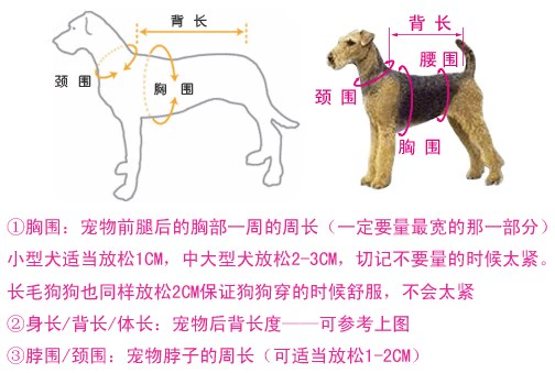 Pet cung cấp chó con mùa đông ấm chó quần áo mèo quần áo dễ thương quay ong tải Teddy Poodle - Quần áo & phụ kiện thú cưng