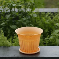 Вертикальный цвет кожи