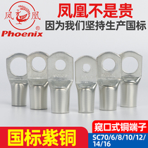 Phoenix SC70-8 10 12 14 16 16 terminal copper connector copper nose wire ear electric cable red copper thickened