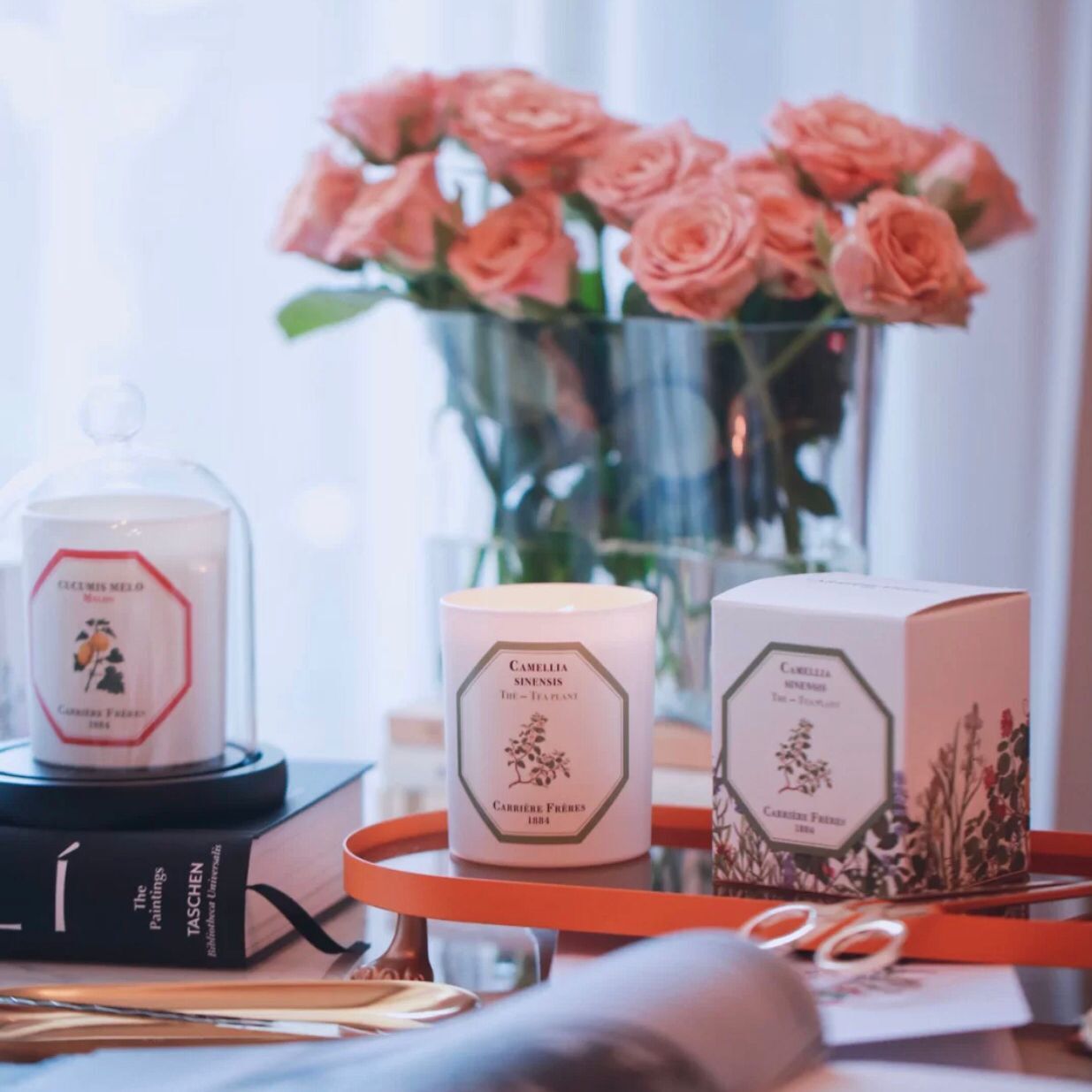 Send fragrance brick French counter Carrière frères 1884 aroma candle small tomato 185g