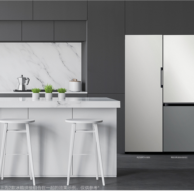 SAMSUNG RB33R300459/SC三星缤色铂格333升智能变频 两开门电冰箱