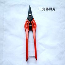 New product Korean Nova triangle head thickened industrial DIY jewelry chain iron fruit branch scissors