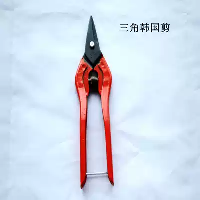 New Korea Nova triangle head thickened industrial DIY jewelry chain tin fruit branch scissors