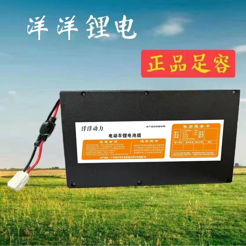 New Sunray Electric Vehicle Lithium Battery 48V12Ah Lithium-Ion Small Large-Capacity Yadea Tianneng Chaowei Shenyuan Universal Model New Sunray Electric Vehicle Lithium Battery 48V12Ah Lithium-Ion Small Large-Capacity Yadea Tianneng Chaowei Shenyuan Universal Model