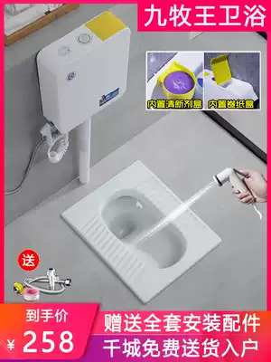 Squatting toilet with cover plate water tank whole set of household ceramic anti-odor squatting toilet squatting pit Potty toilet
