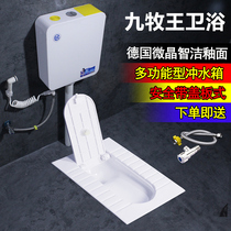 JEOMRW bathroom ceramic with cover plate squatting toilet water tank set toilet deodorant squat pit toilet toilet bowl