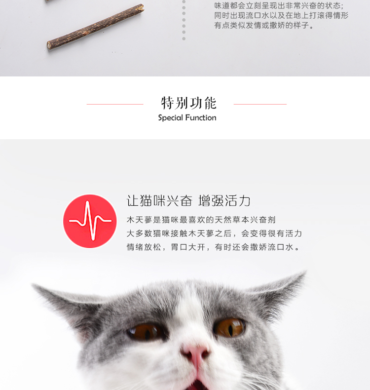 Cat Wood Scorpion Stick Cat Molar Stick Snack Răng Stick Cat Toy Cat Mint Ten Pack - Đồ ăn nhẹ cho mèo thức ăn mèo con