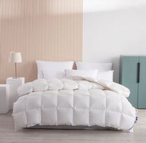 Dreamt Baby Capri long suede cotton 95% Hungarian white goose down all season winter thick quilt core 20 new