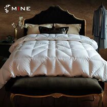 Sleep MINE Russia imports goose suede balletta goose down thick quilt 0689 winter thickened warm down quilt core