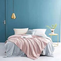 Dreamers Home Textiles The Masartisan Silk Pure Silk Season Quilt Norwegian Air Conditioning By The Summer Cool By The Spring Autumn Is Pure Color Minimalist By Spring Autumn.