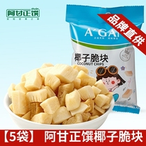 Hainan (5 sachets) Agan Zhengguo Coconut Crisp Coconut Coconut Coconut Gélé à sec Coconut Coconut Flakes Snack Collation Fruits secs 32g