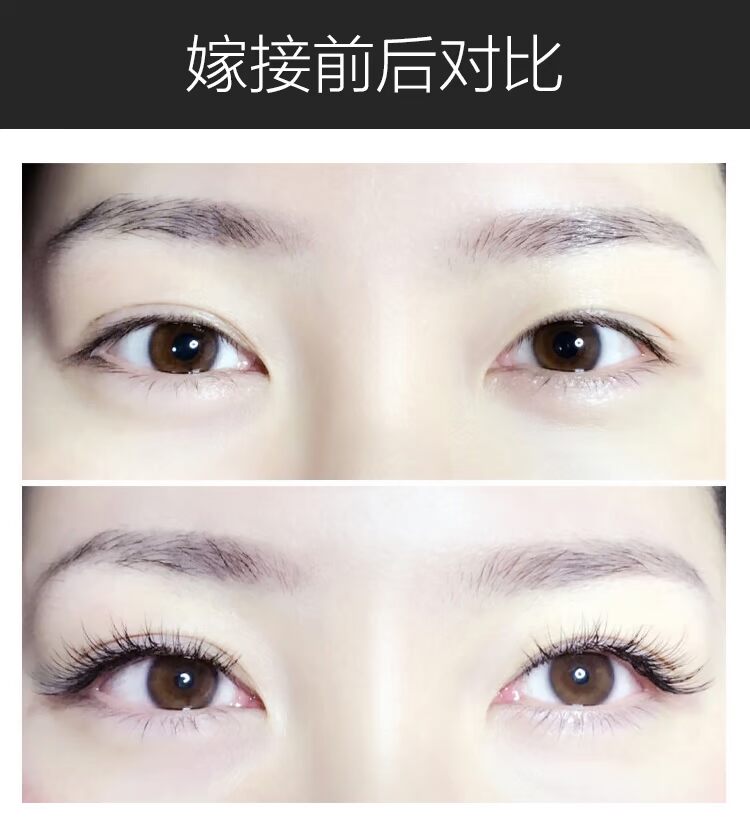 Camellia Lông mi Ghép nước Mane Super Soft 0,05 Một giây Hoa ghép lông mi Trồng lông mi giả tự nhiên - Lông mi giả mi giả đẹp