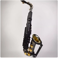 Внутренний набор золота и внешнего черного золота