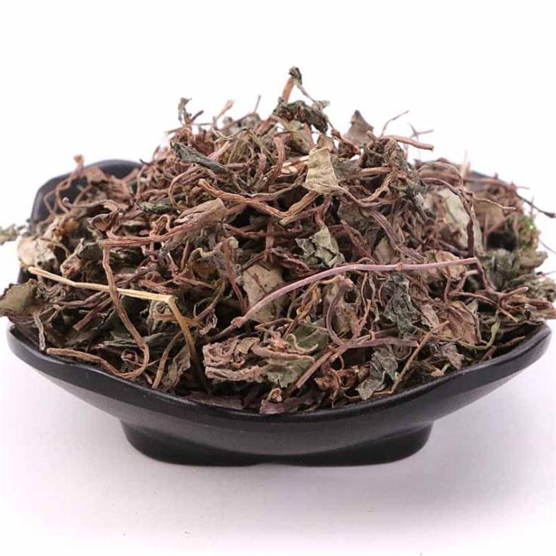 Golden Money Grass 500 gr Chinese Herbal Medicine Gold Money Grass Small Leaf Gold Money Grass With Wide Gold Money Grass Golden Money Herbal Tea Chicken Nequin