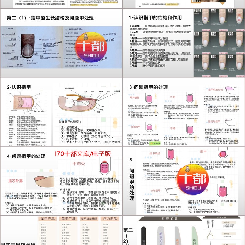 Nail Structure and Growth Process, Manicure and Nail Care + Step-By-Step Instructions, Color Selection Techniques, Nail Shape Courseware Ppt, 77 Pages in Total