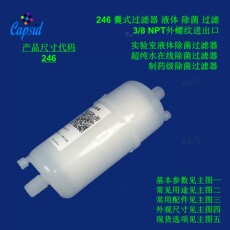 Фильтр 囊式过滤器 水溶液 水基液体 超纯水 缓冲液