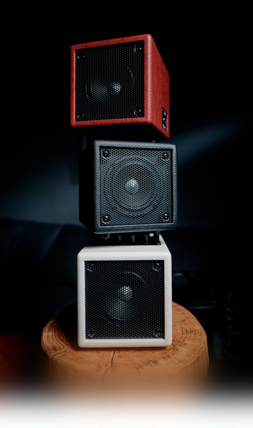 pjb x4 bass speaker
