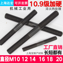 10 Class 9 hardened double-headed screw screw double-headed bolt screw M10 Platen screw M12M14M16M20M24