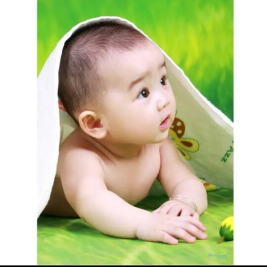 New Baby Poster Photo Baby Illustrated Pretty Boy and Female Baby Draw Pregnant Women Preparatory Fetal Teach Picture Wall Graphics