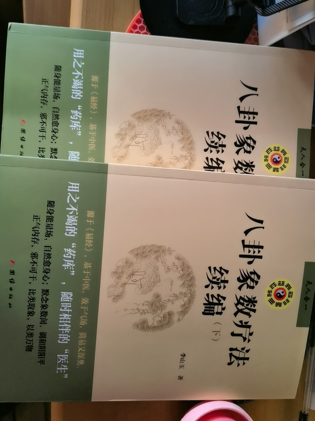 新华书店正版】八卦象数疗法续编全两册八卦象数疗法象数科学梅花易数