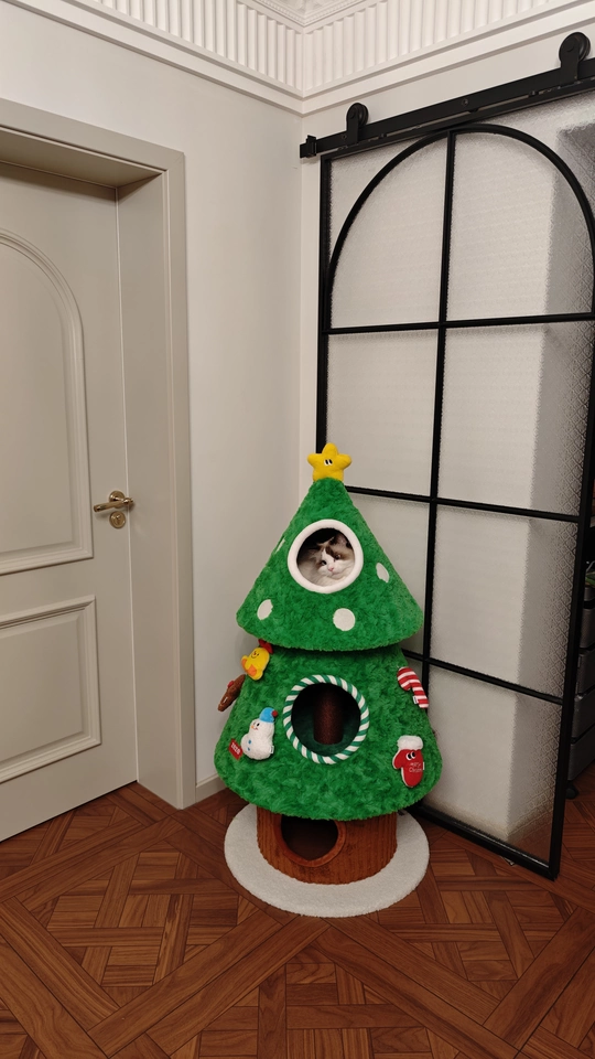 Tmall buyer photo