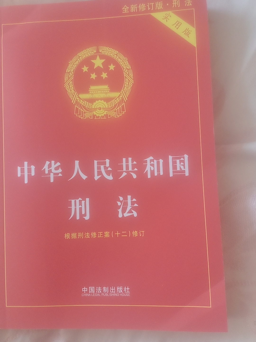 2025新版中华人民共和国刑法实用版第十版根据刑法修正案十二全新