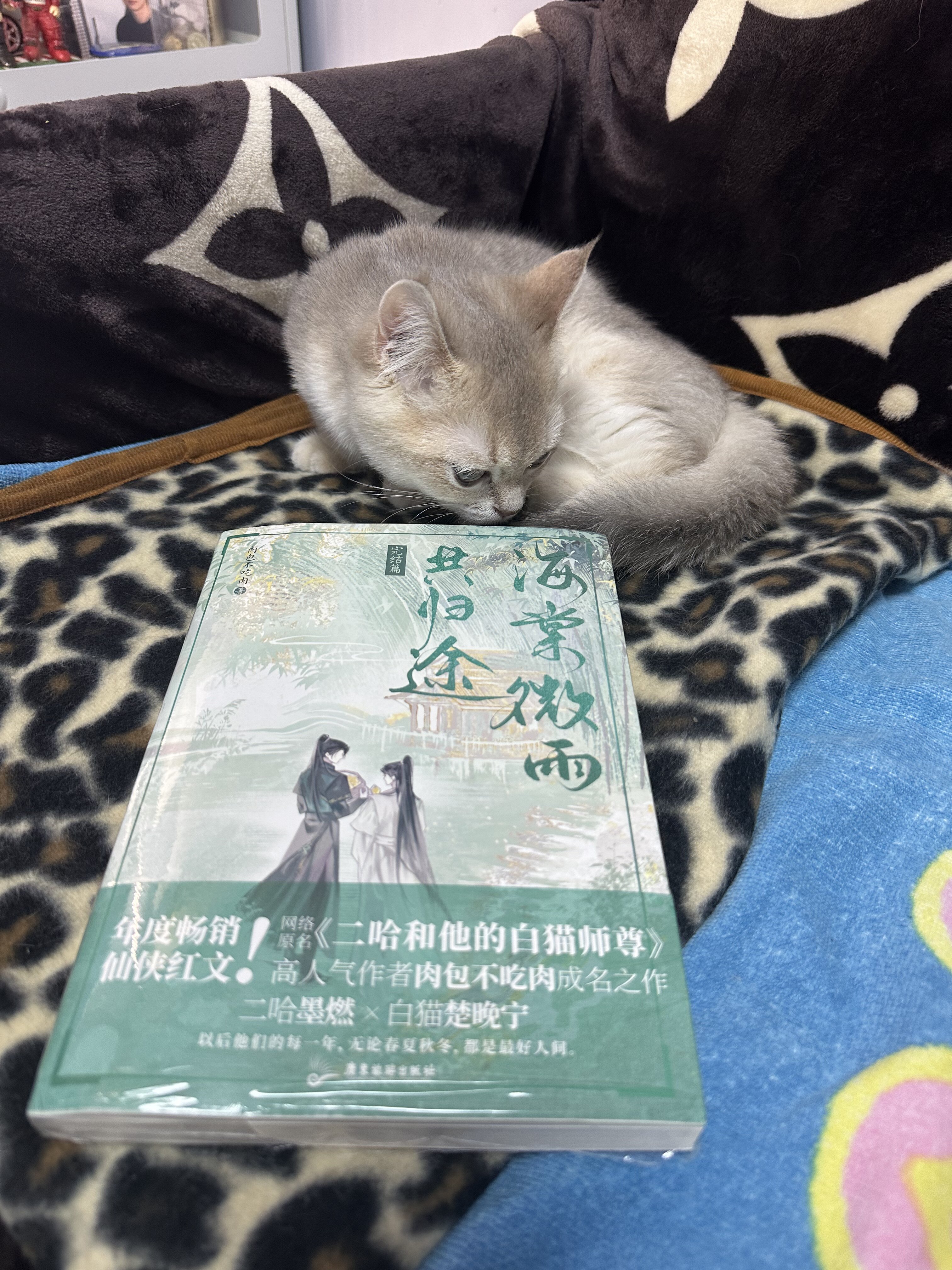 海棠微雨共归途全集肉包不吃肉古风仙侠小说黑莲花攻略手册系列-Taobao