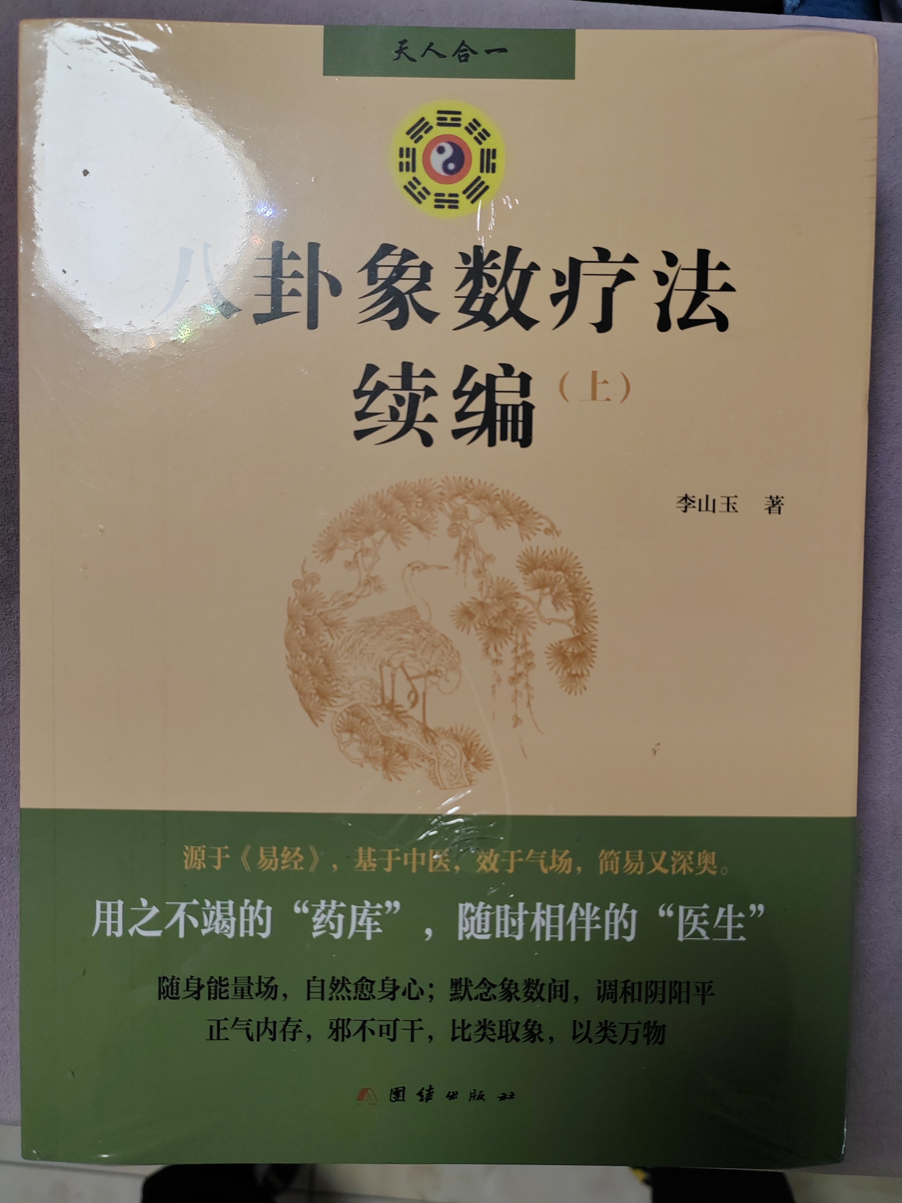 新华书店正版】八卦象数疗法续编全两册八卦象数疗法象数科学梅花易数