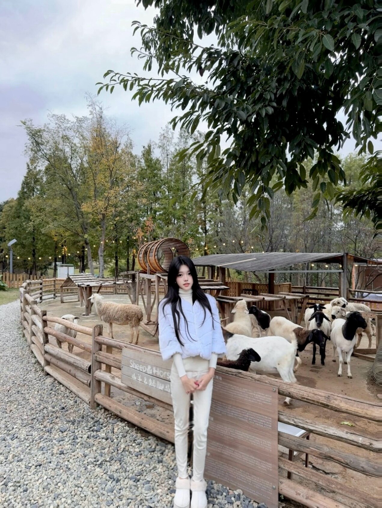 RUOYU若语半永久韩女裤 加绒修身设计保暖不臃肿 高腰小脚裤型拉长比例