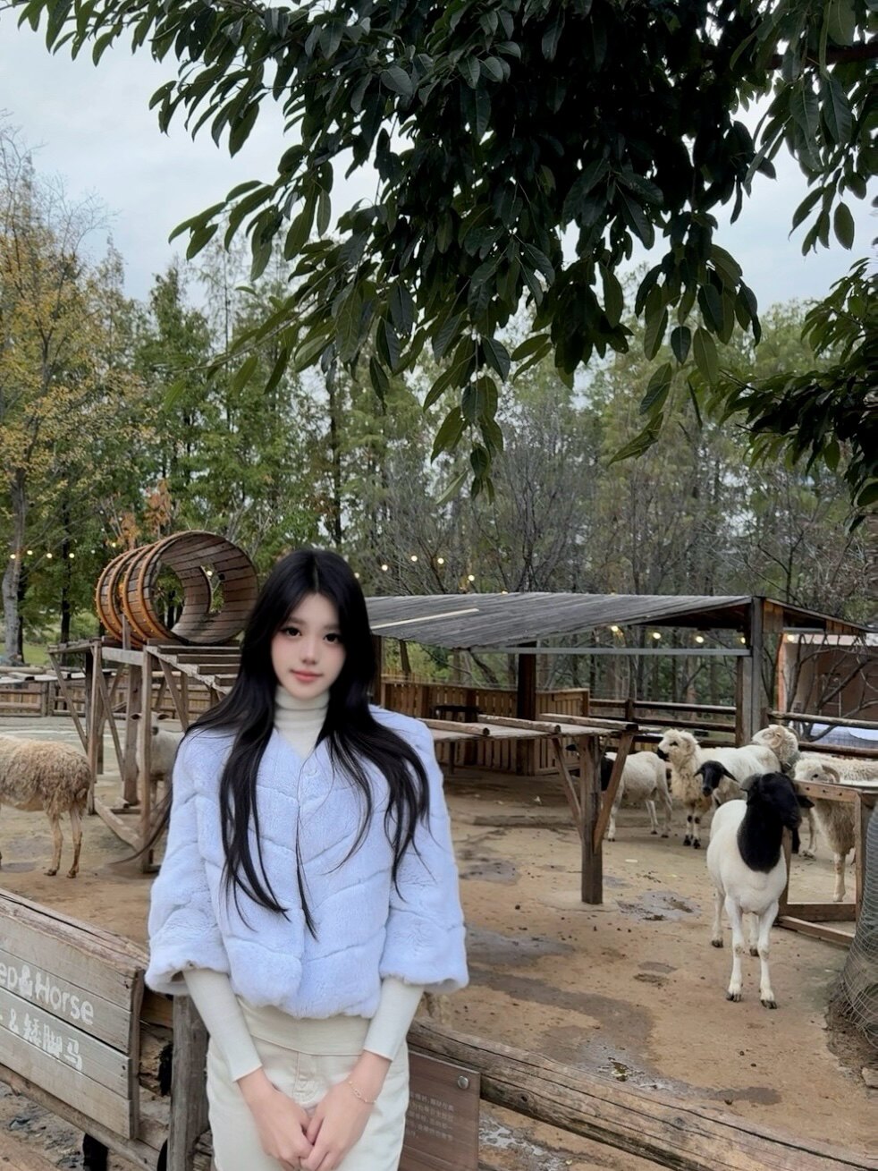 RUOYU若语半永久韩女裤 加绒修身设计保暖不臃肿 高腰小脚裤型拉长比例