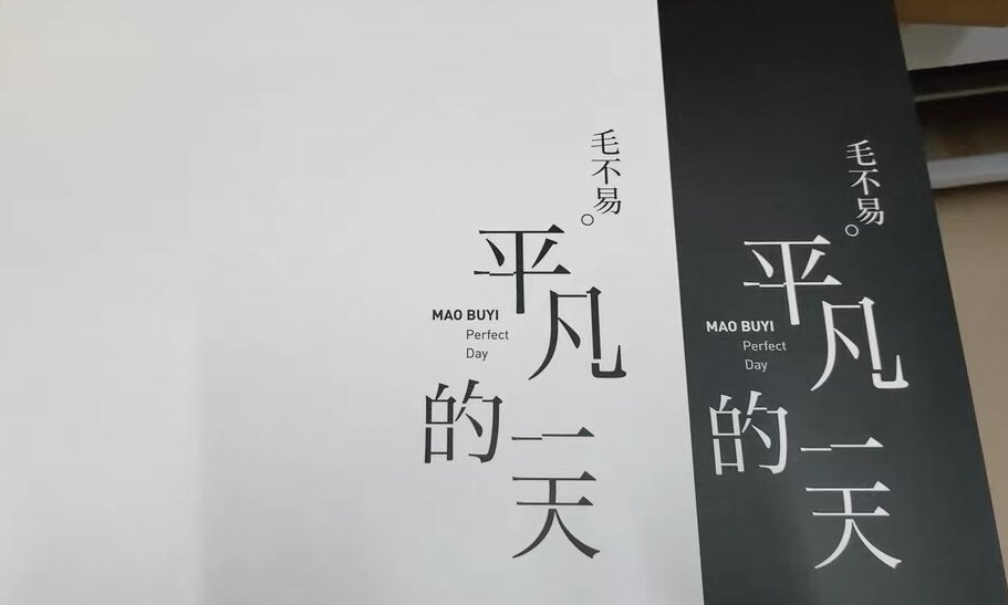 正版毛不易专辑平凡的一天LP黑胶唱片老式留声机12寸碟片唱盘-淘宝