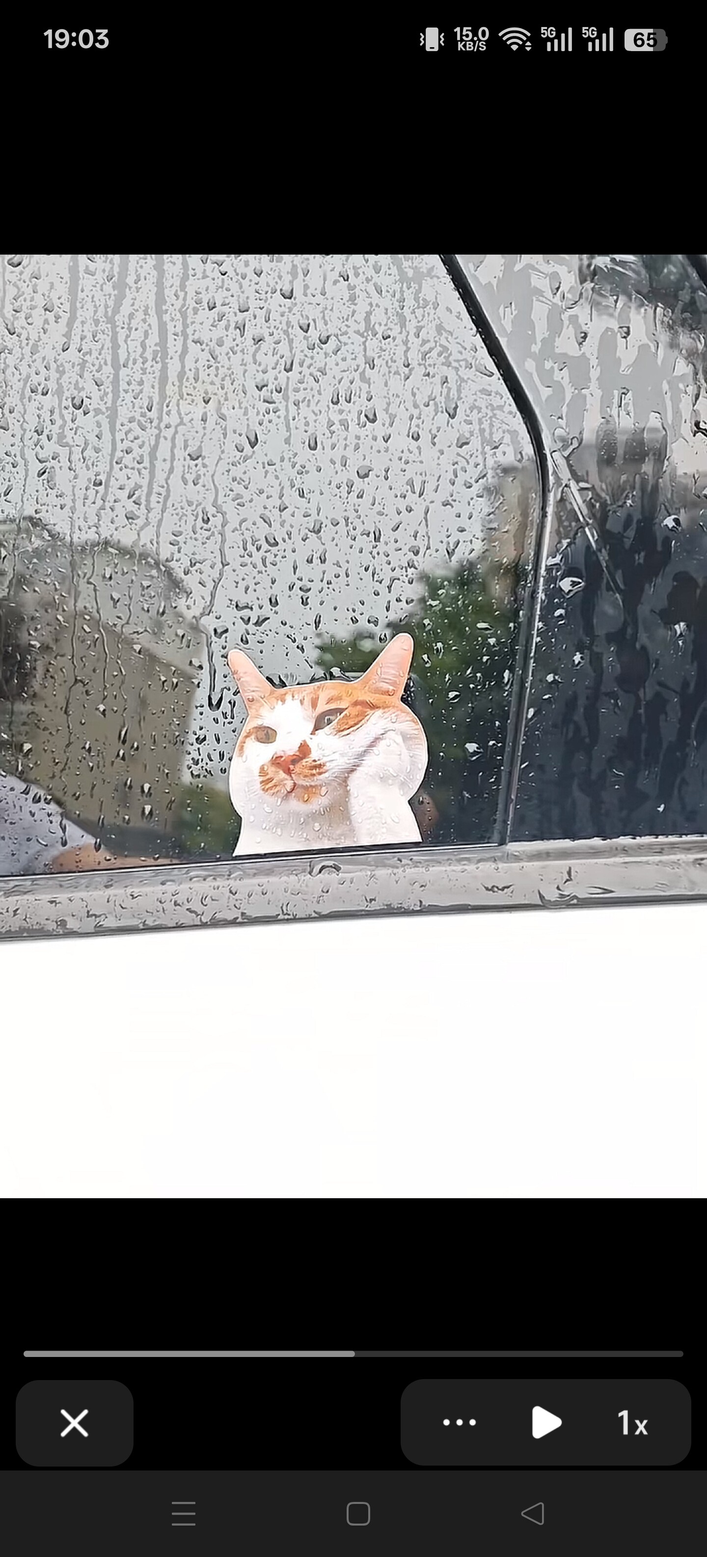 可愛搞笑迷因MEME貓貓咪驚訝表情個性創意車貼筆記本行李箱貼紙