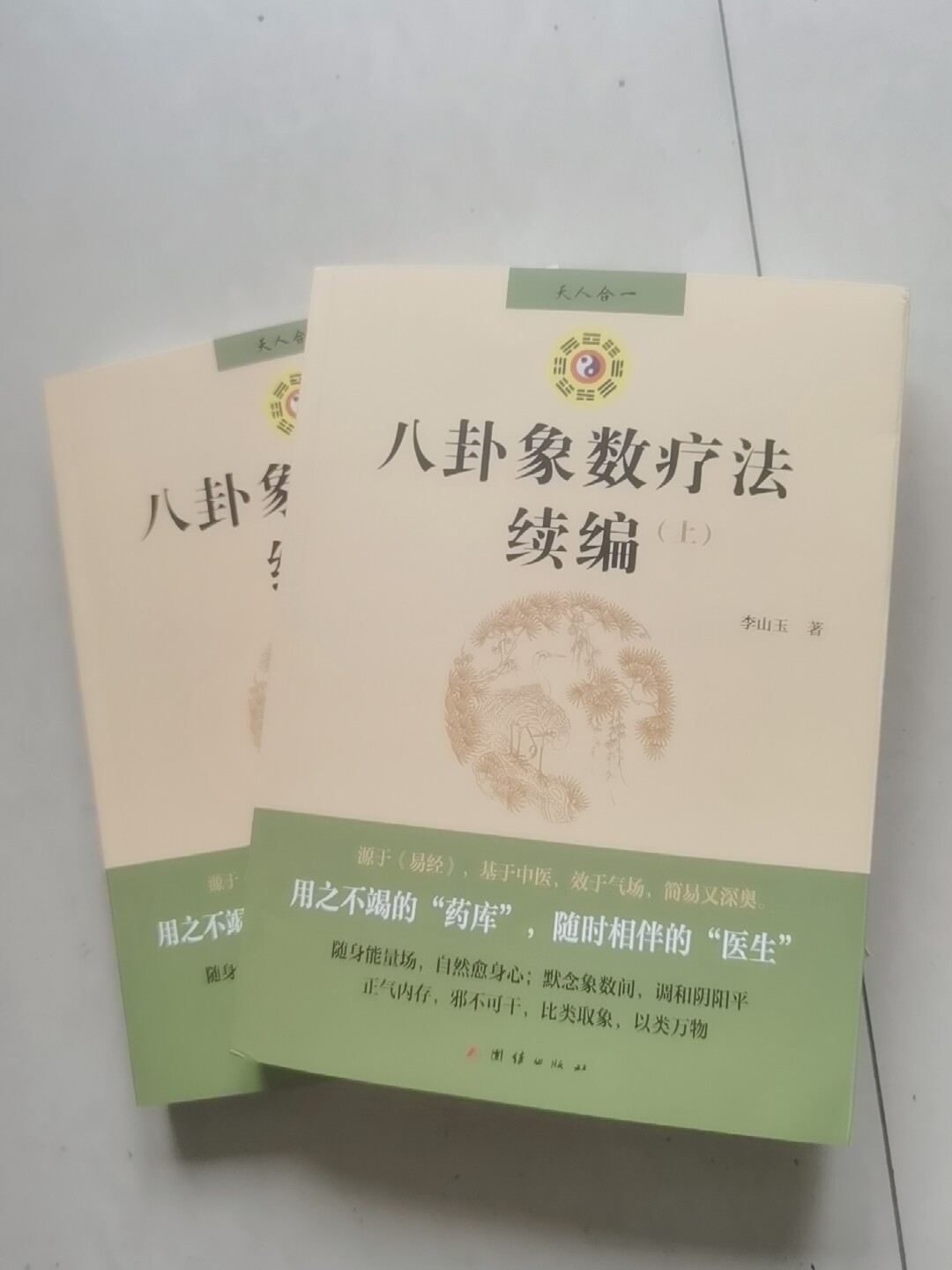 新华书店正版】八卦象数疗法续编全两册八卦象数疗法象数科学梅花易数