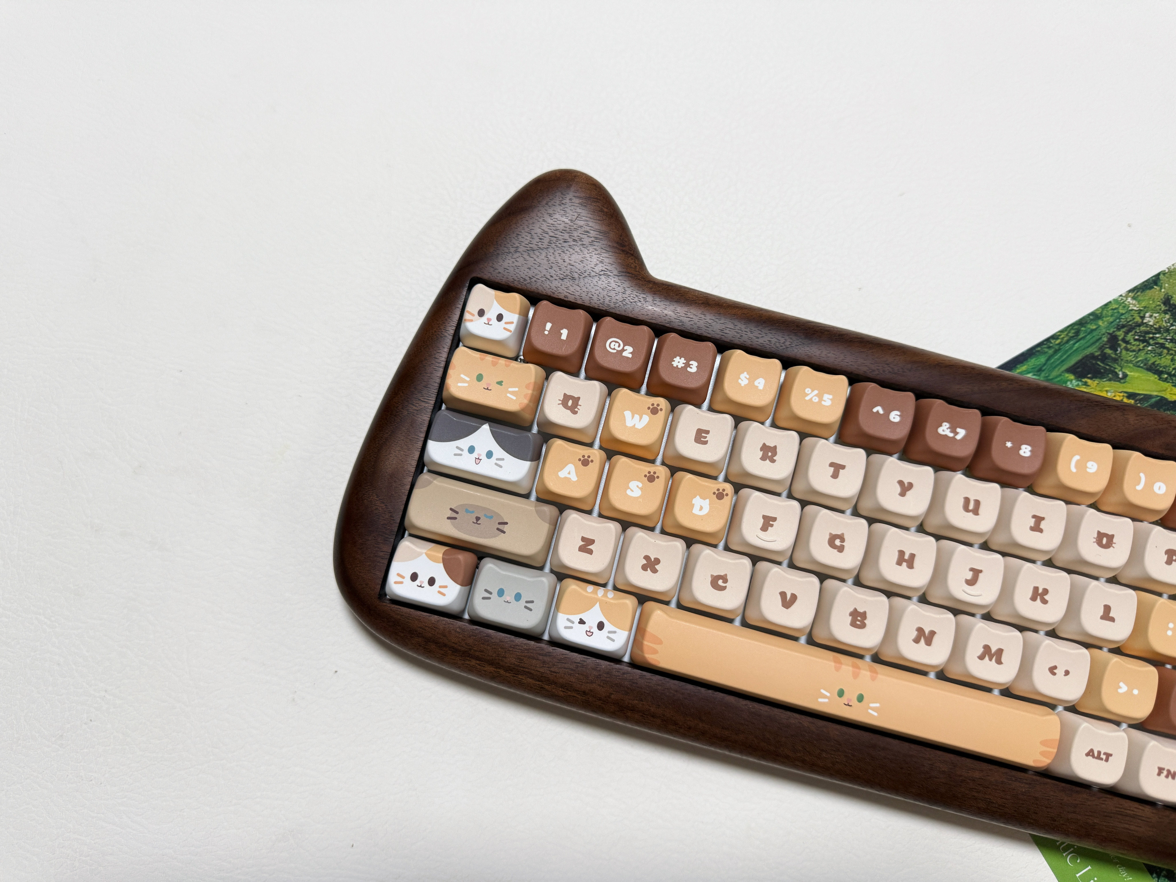 SOULCAT猫猫堆叠键帽MAO高度设计热升华PBT材质Targa98配列键帽