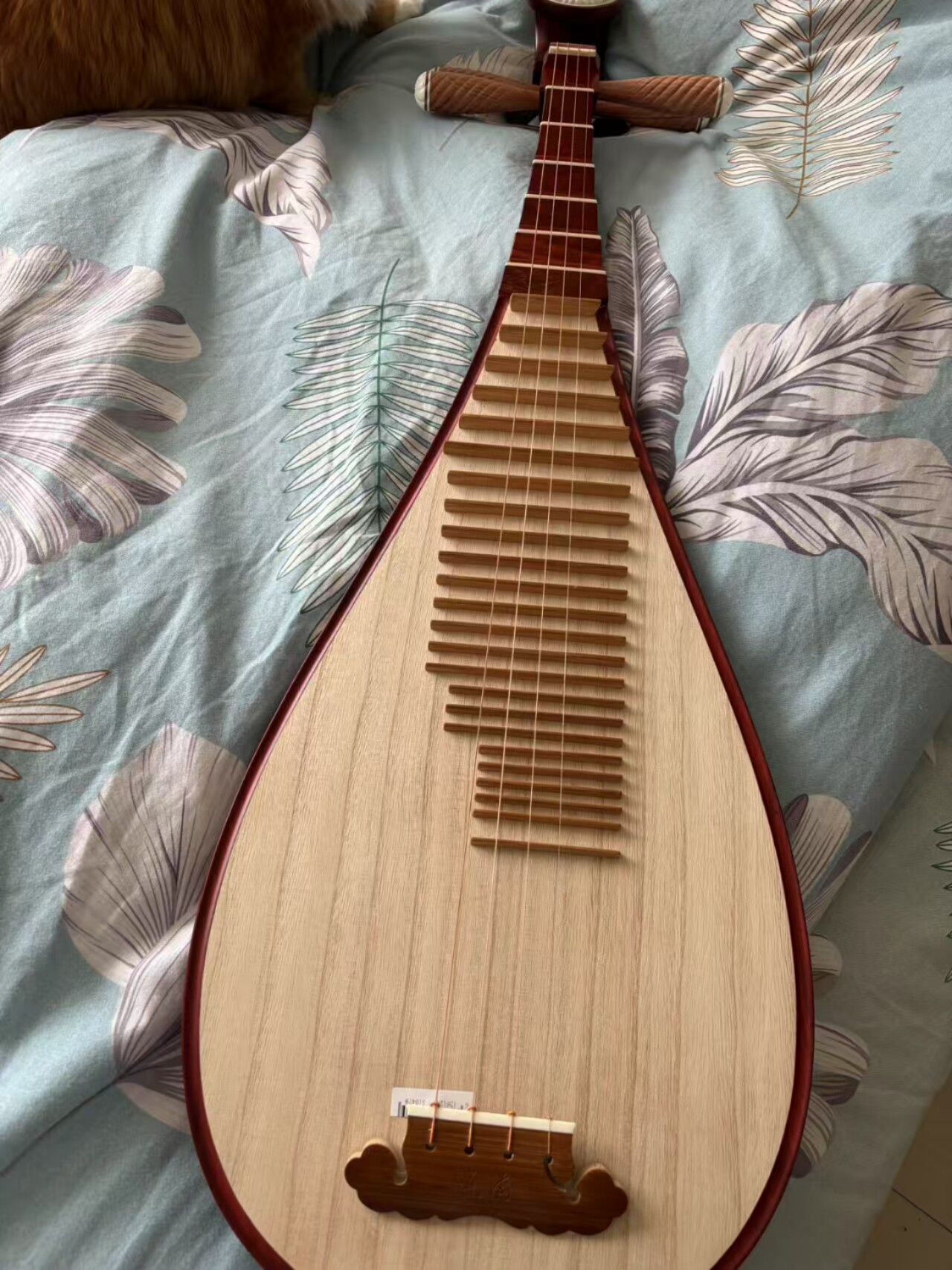 非洲紫檀木琵琶琵琶乐器初学者入门THE OCEAN OF MUSIC如意头琵琶设计