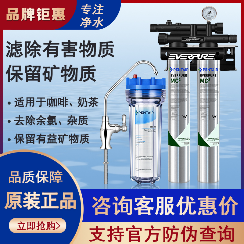 Aihuipu Mc2 Dual Water Purifier, Large-Flow Composite Direct Drinking Water Filter Specifically for Commercial Milk Tea and Coffee Shops