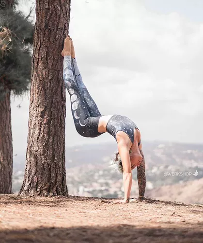 Часть Spot Eagle Rock Eagle Eagle Athleisur