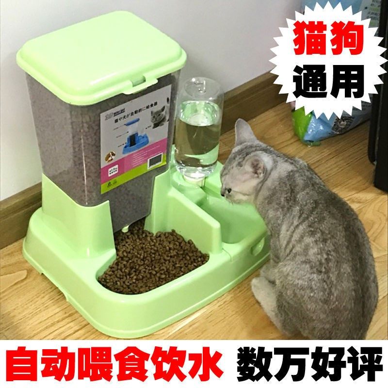 Dog supplies dog bowls dog pots for not turning dog food pots Automatic feeding machines Drinking water cats Cat Bowls Kitsch KITTENS