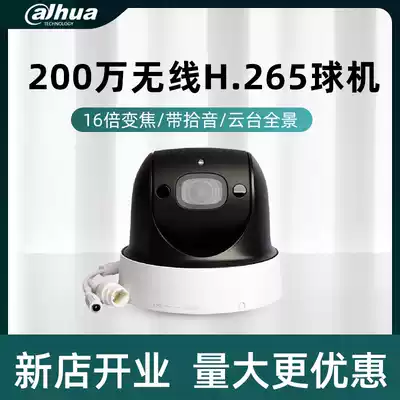 Dahua 2 Million 4x zoom WIFI rotating outdoor infrared recording ball machine DH-SD-29D204UE-GN-WD