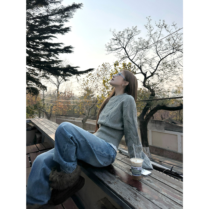 Fangting Short Sweater for Women, Autumn Cable Knit Round Neck Gray Knitwear, Vintage High-End Sweater