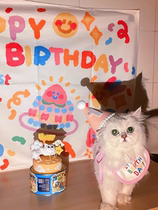 (Meow props) ITSMYBIRTHDAY Pet kitty Puppy Birthday Surround with Hood Triangle Towel