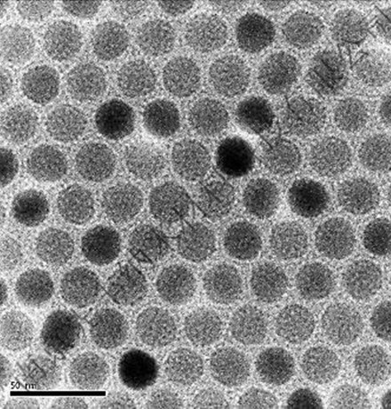 先丰纳米 无表面基团上转换纳米颗粒（紫蓝光）XF191-2