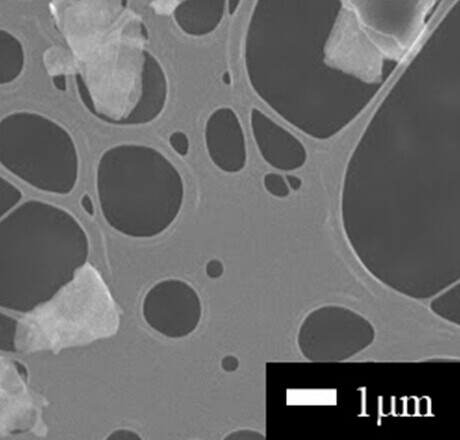 先丰纳米HDPlas改性石墨烯纳米片 5g XF086