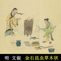 Jinshi insect grass-like picture album Atlas