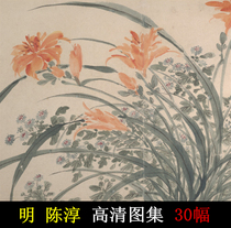 Chen Chun Flower HD Picture Ink Freehand Flower Bird Ink Pen Flower Ming Dynasty Chinese Painting Ancient Painting