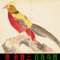 Qing Yu Zeng three hundred flowers and birds high-definition electronic version of meticulous painting copy design material Zhang Tingyu Eertai poem